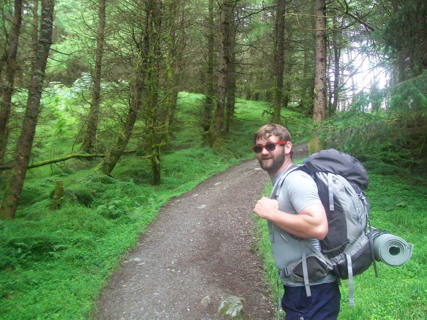 35. Forest near Crianlarich.JPG